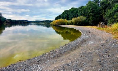 Investigadores del Laboratorio de Toxinas Marinas y el Senageomin realizaron un estudio para determinar la proliferación de organismos microscópicos en aguas del Lago Llanquihue.